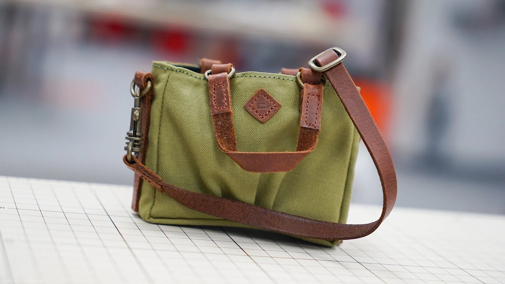 Satchel Bag (green)