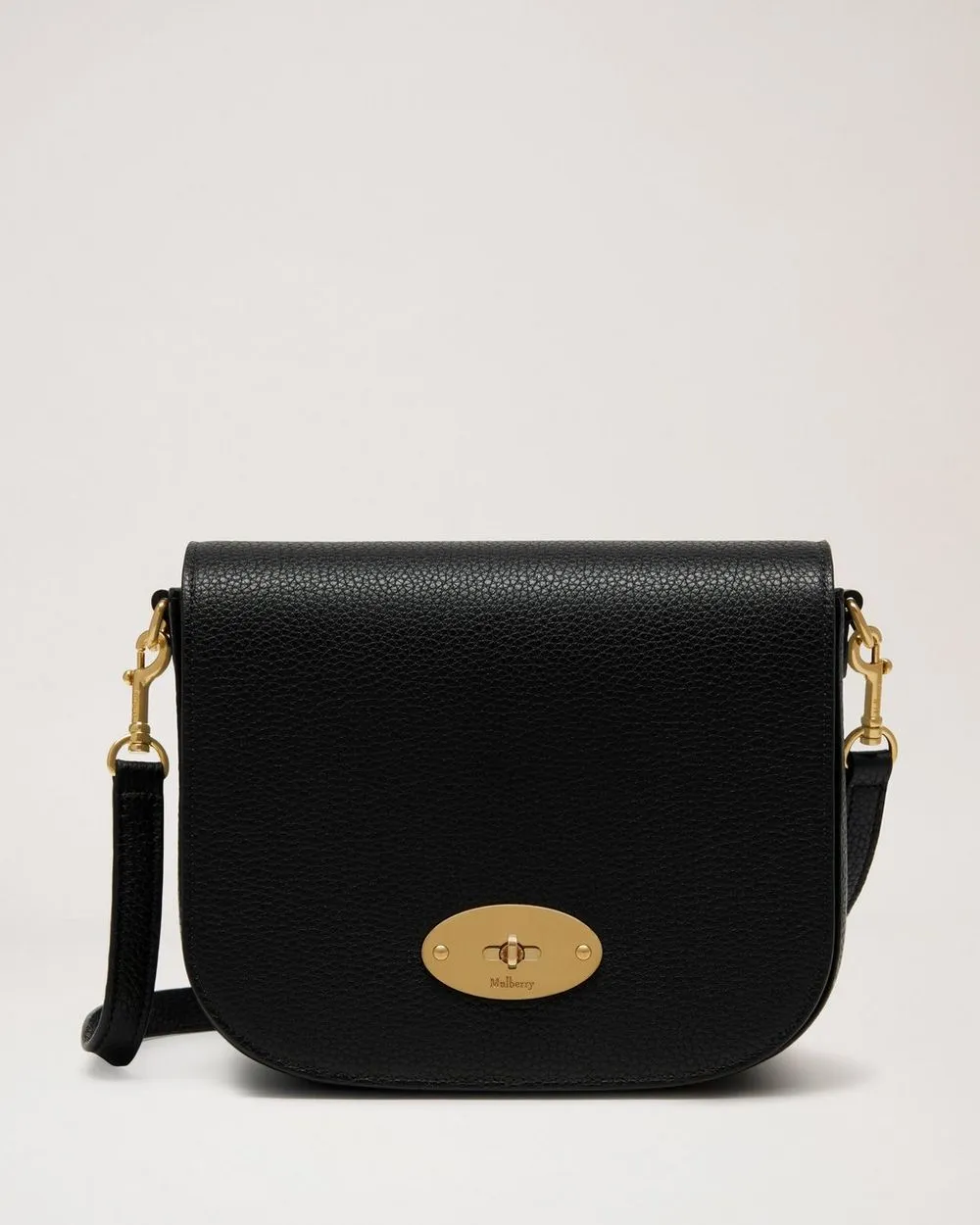 SMALL DARLEY SATCHEL SMALL CLASSIC